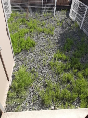 18/26 その他画像