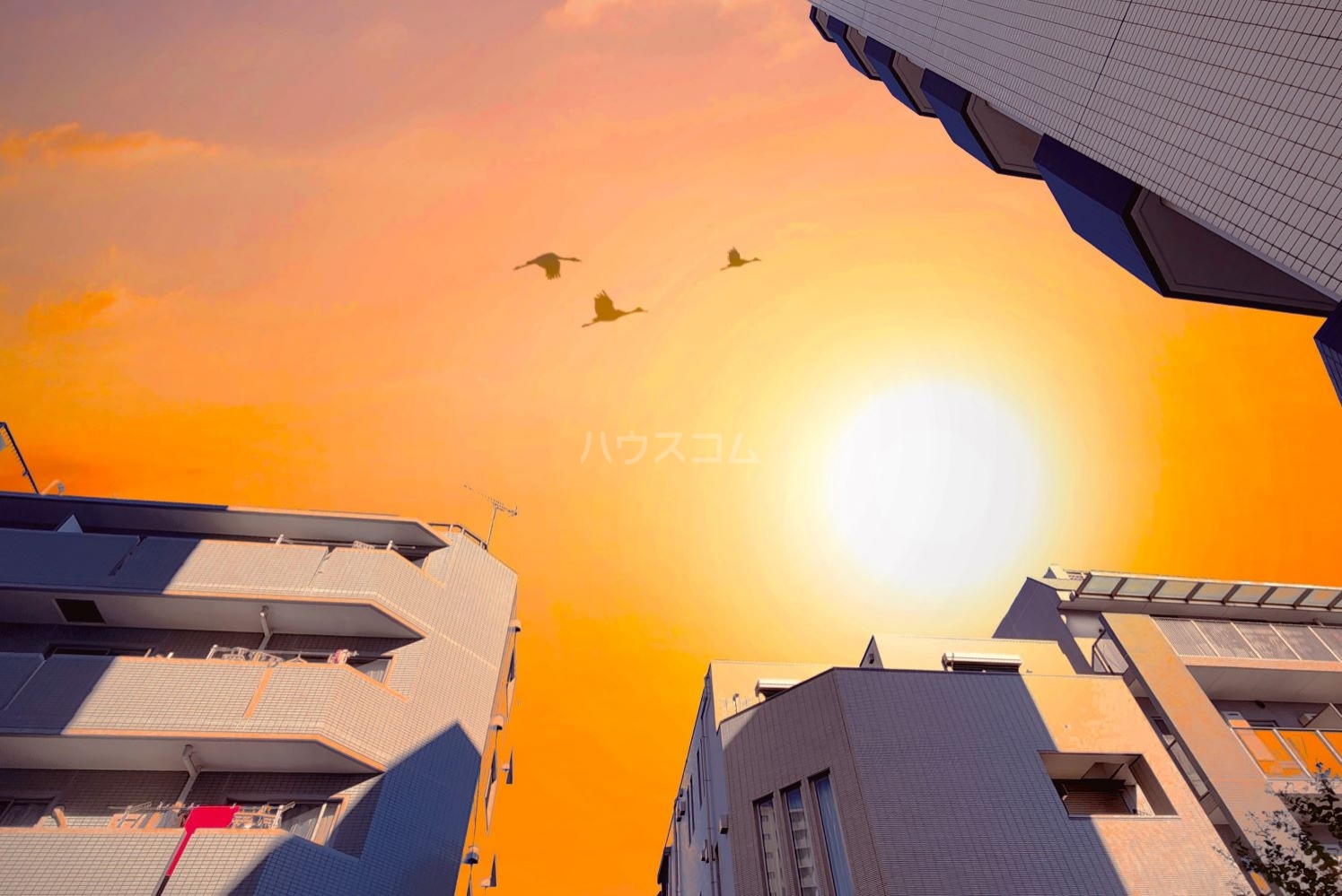 17/30 その他画像