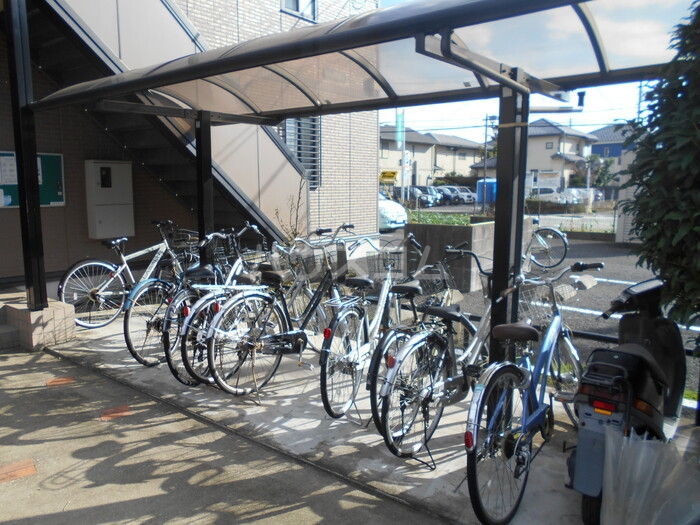 20/30 その他画像