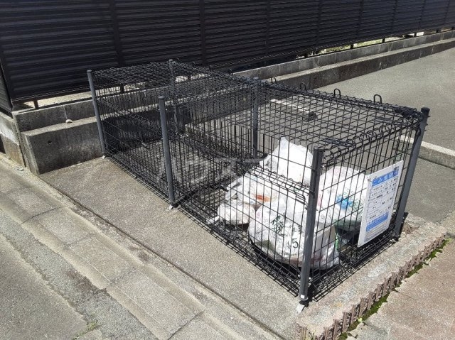 17/22 その他画像