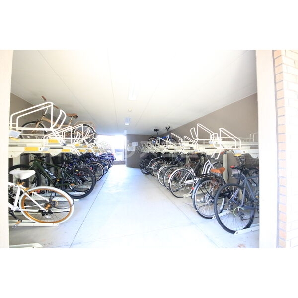 8/11 その他画像