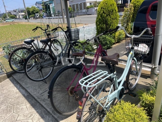 その他画像