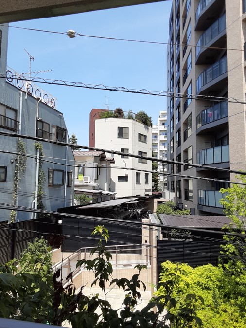 15/24 その他画像