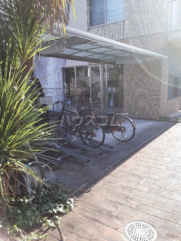 20/30 その他画像