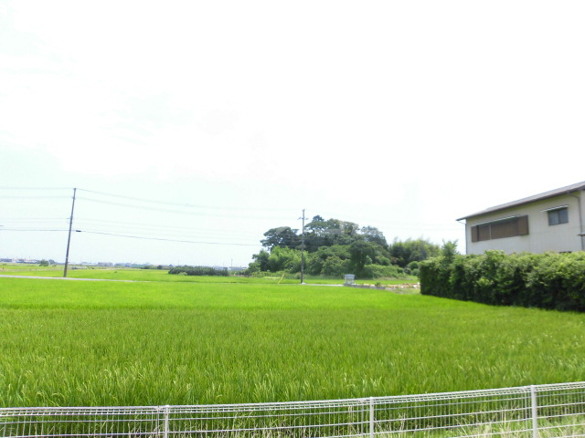 20/28 その他画像