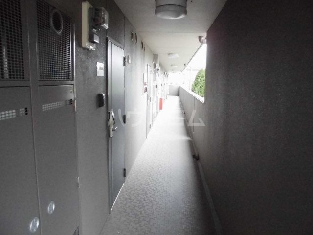 11/26 その他画像