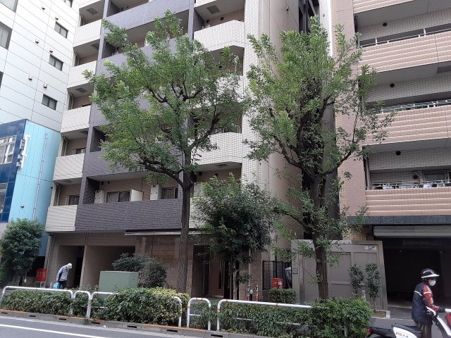 2/24 外観