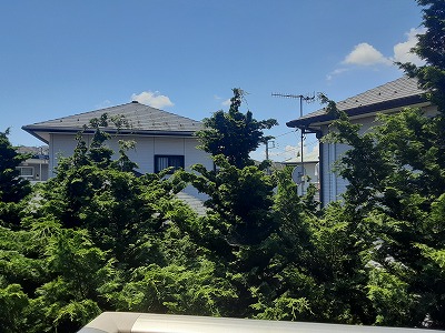 14/24 その他画像