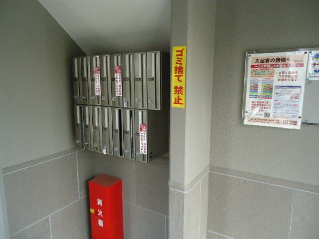 21/29 その他画像