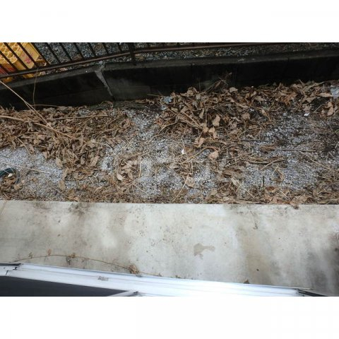 13/17 バルコニー