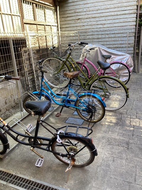 20/30 その他画像