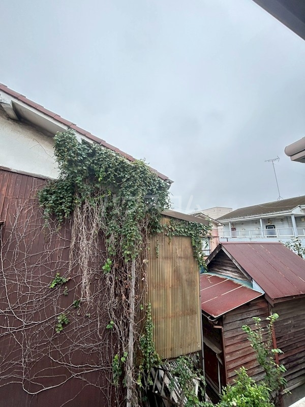 12/19 その他画像