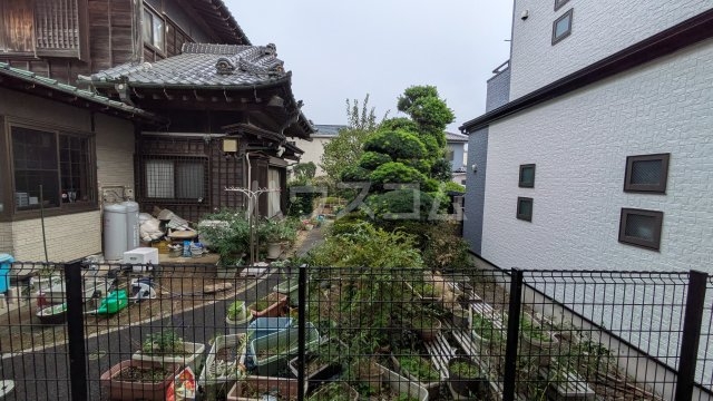 20/30 その他画像