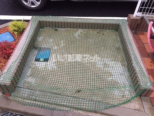 12/19 その他画像