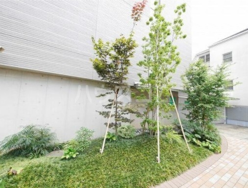 3/14 その他画像