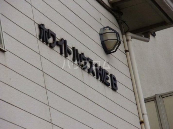 11/17 その他画像