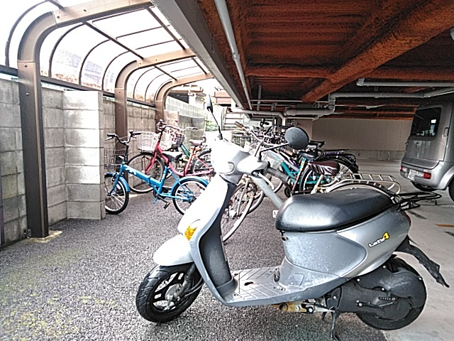 19/30 その他画像