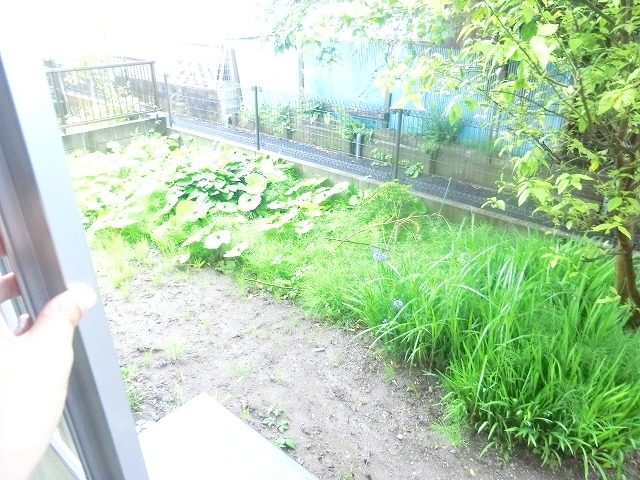 16/23 その他画像