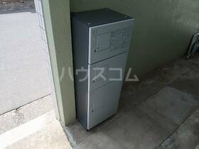 15/19 その他画像