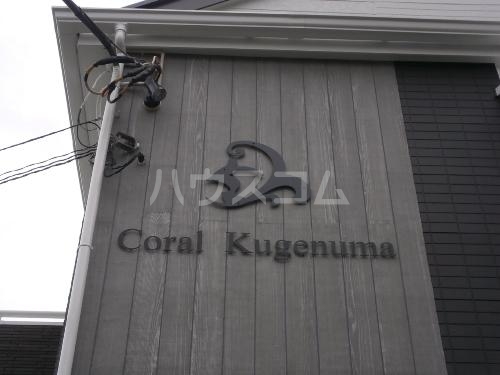 19/28 その他画像