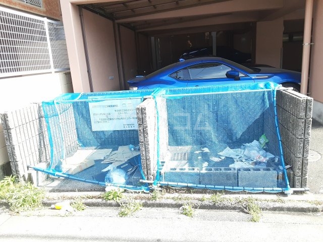 20/30 その他画像