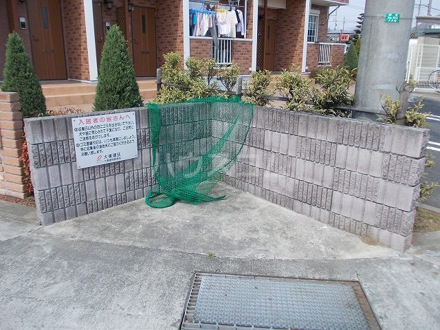 17/25 その他画像