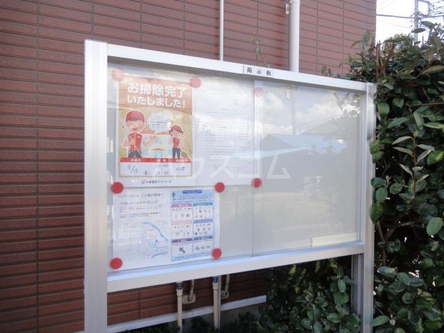 20/30 その他画像