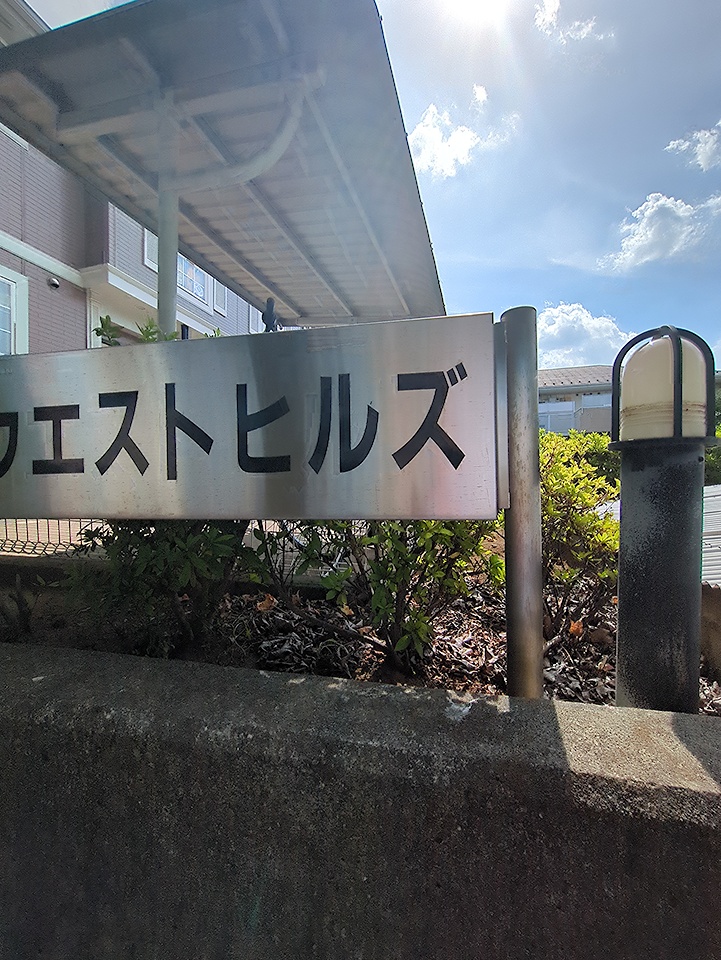 6/12 周辺