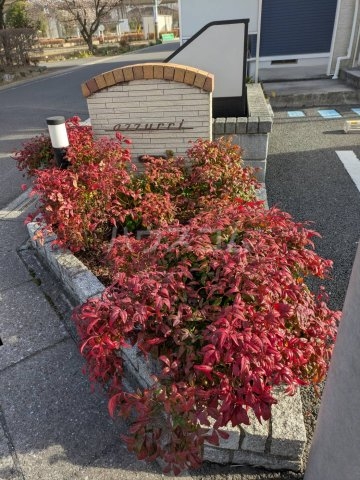 26/30 その他画像