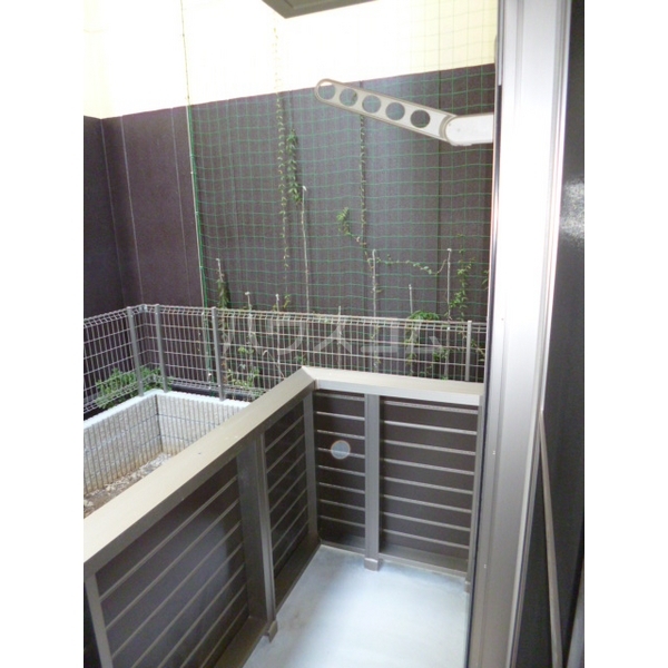 8/17 バルコニー