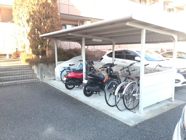 20/30 その他画像