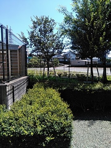 14/24 その他画像