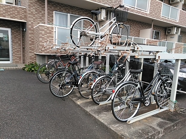 20/30 その他画像