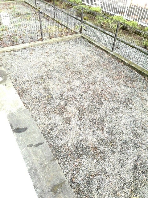 12/24 その他画像