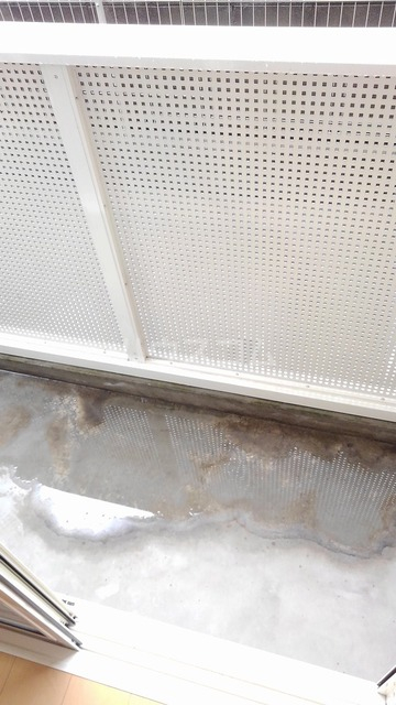 10/21 バルコニー