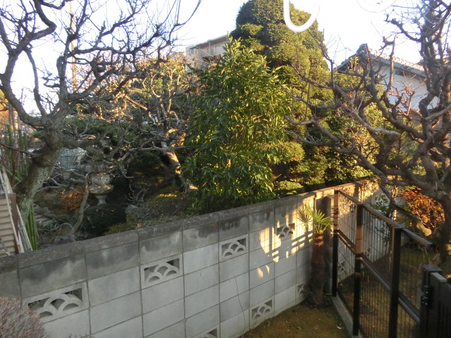 17/30 その他画像