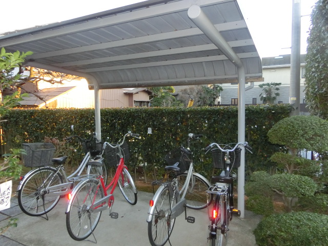 20/30 その他画像