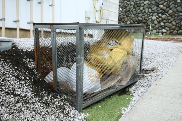 20/30 その他画像