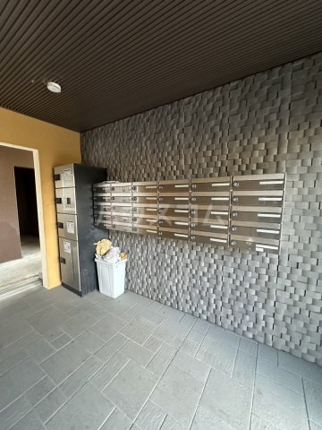 15/29 その他画像