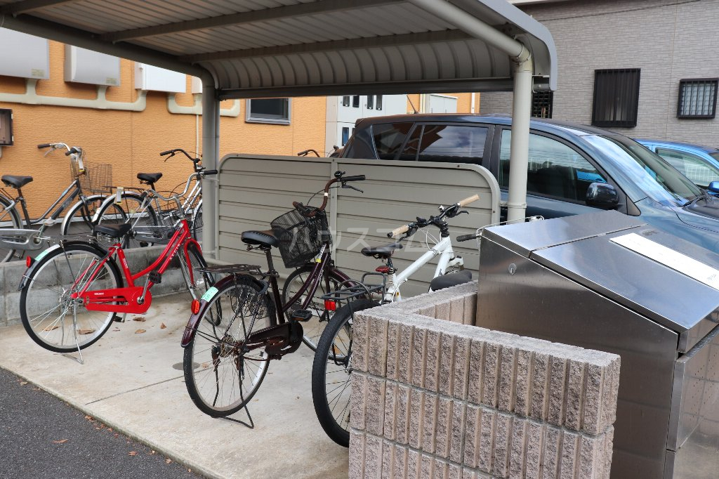 20/30 その他画像