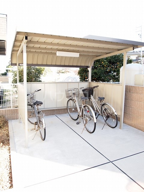 20/30 その他画像