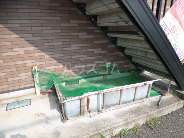 17/21 その他画像