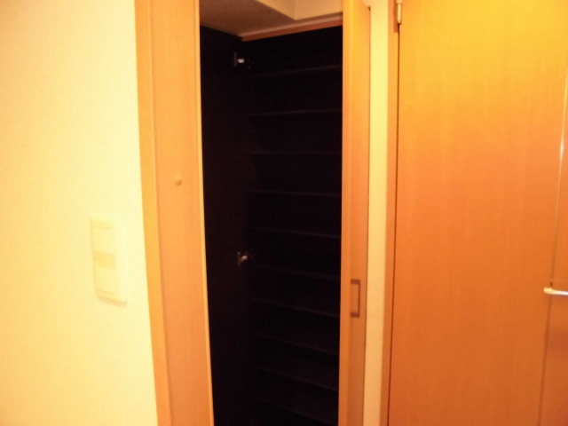 20/30 その他画像