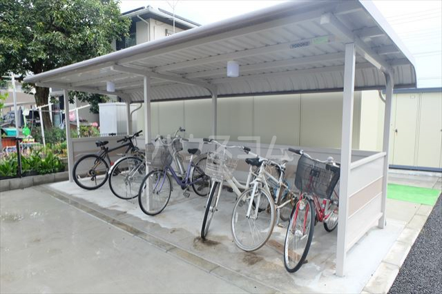 20/30 その他画像