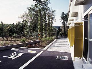 8/19 バルコニー