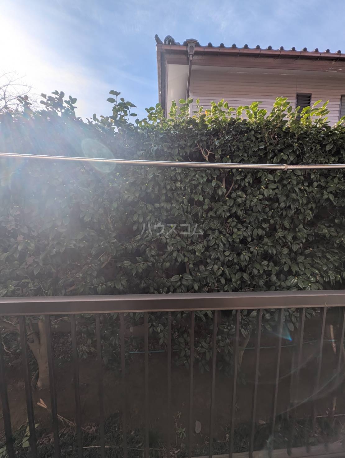 19/30 その他画像