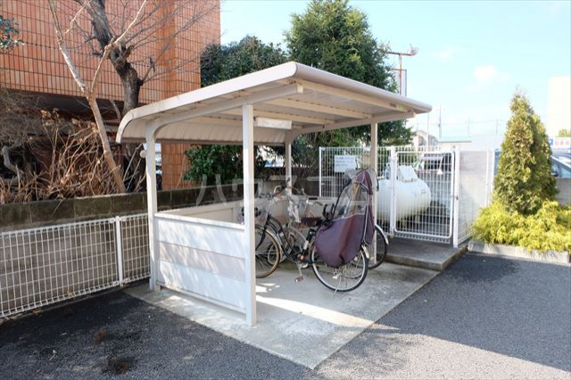 20/30 その他画像