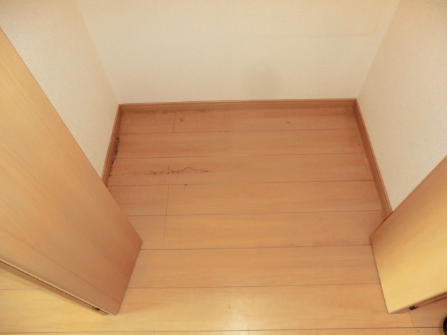 17/24 その他画像