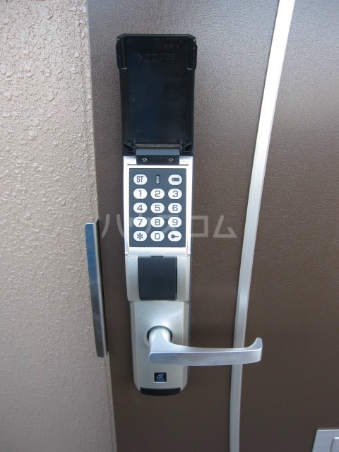 15/29 その他画像