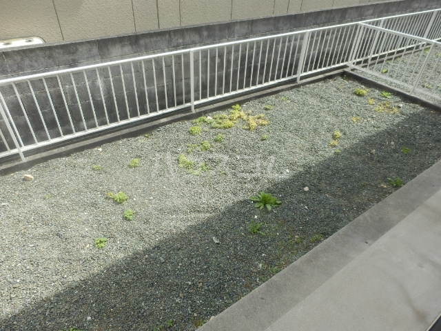 17/26 その他画像